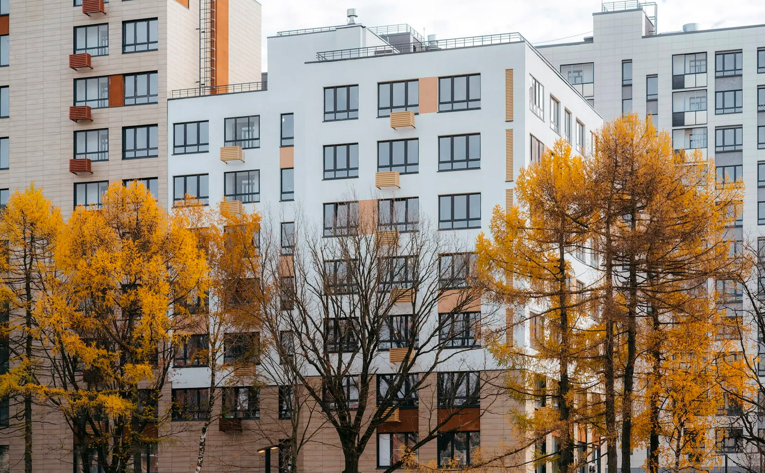 Скандинавия