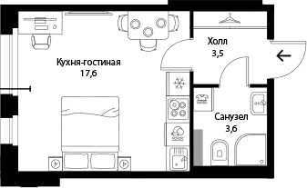 Экография