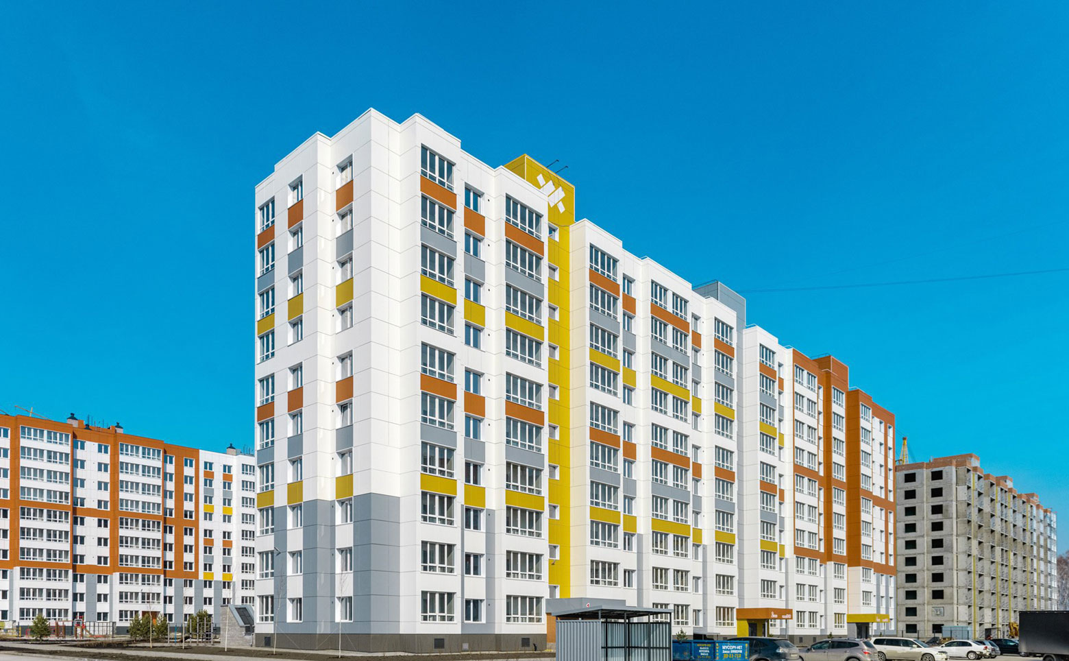 Пшеница