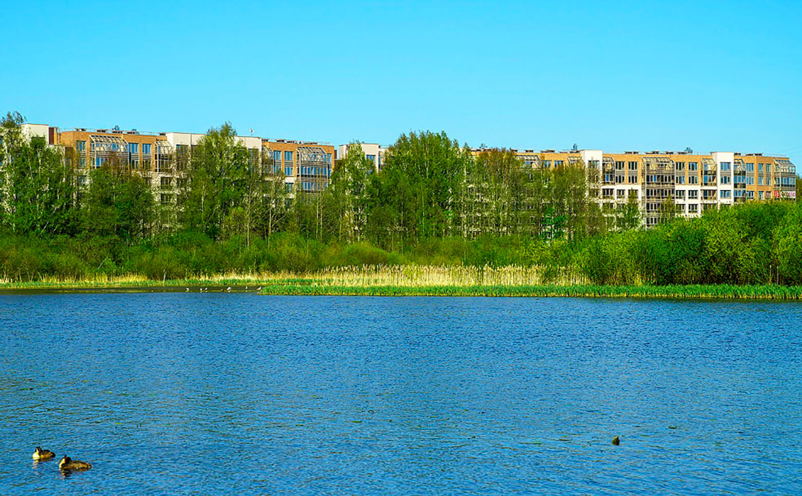 Окла Вижн