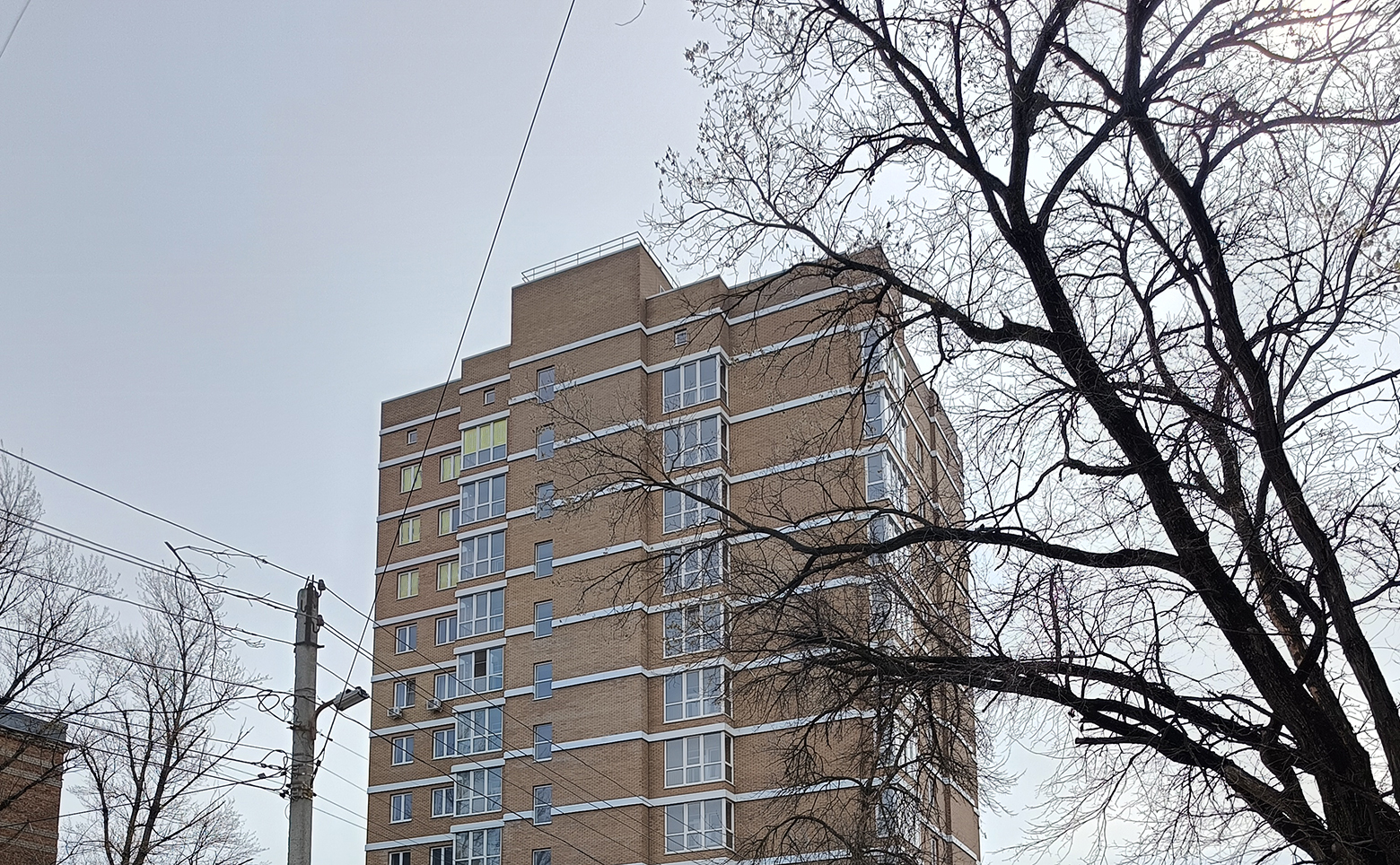 Брусника